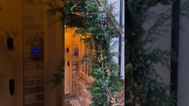 Christmas Rustic Foliage Doorscape смотреть онлайн