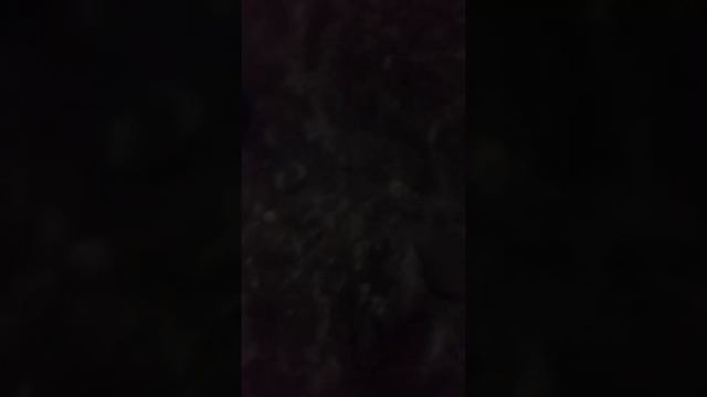 Когда батя подарил не тод телефон смотреть онлайн