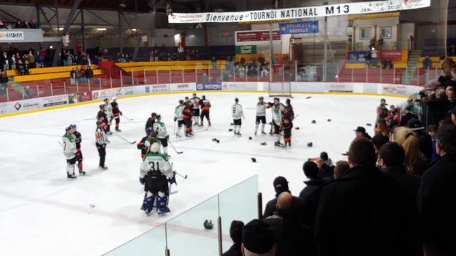 Bench Clearing Brawl, Granby vs St-Hyacinthe, Dec 17th 2021 смотреть онлайн