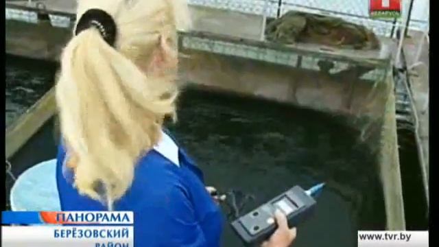 ЧП в рыбхозе Селец смотреть онлайн