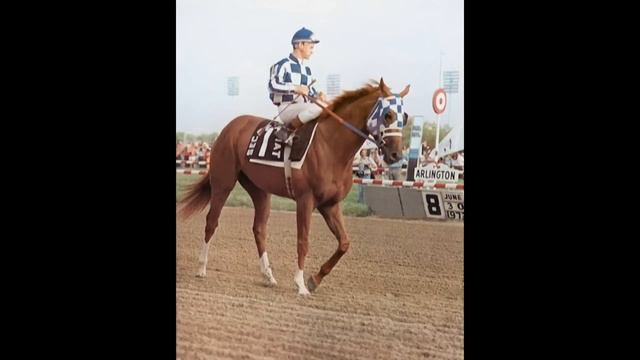 Secretariat. Richard Marks - Right Here Waiting смотреть онлайн