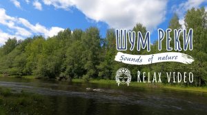 1 час релакса и медитации на берегу реки Шуя 🌊 Релакс в сердце Карелии 🌿 Звуки природы #outhome