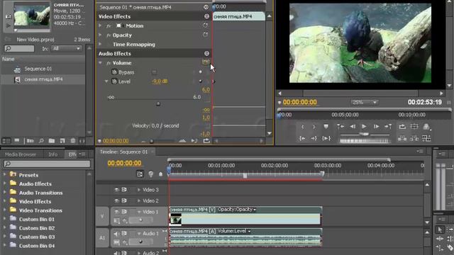 Аудио Эффект по Умолчанию в Adobe Premiere Pro