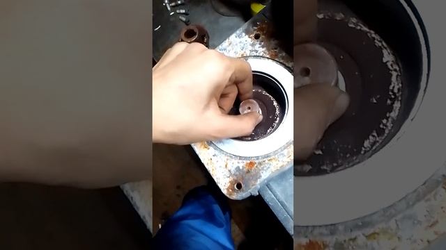 29 ноября 2023 г.