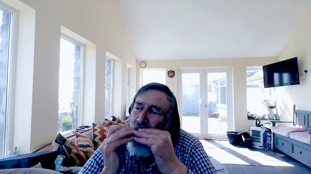 Summertime Tremolo Harmonica смотреть онлайн