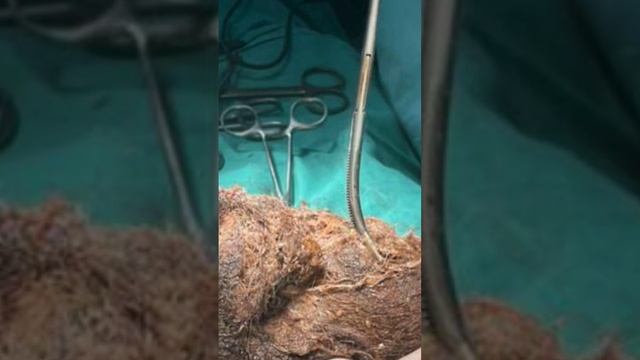 Девушка ЕЛА свои волосы и вот что вышло смотреть онлайн