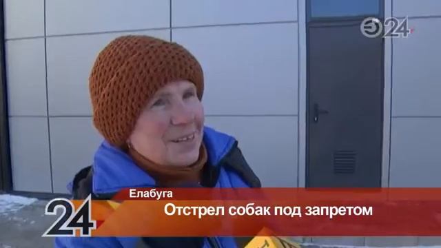 В Елабужском районе отстрел бездомных собак теперь под запретом смотреть онлайн