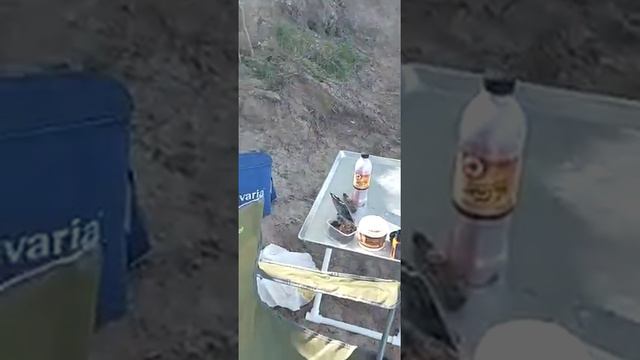 рыбалка на оби смотреть онлайн