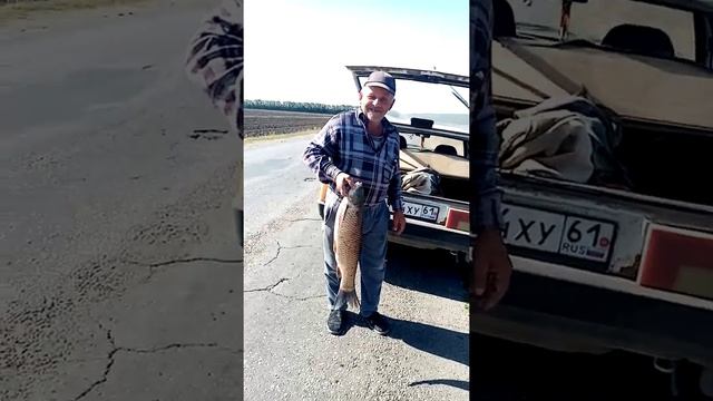 21 сентября 2020 г.Таганрог(изоляция) Рыбак с Миусского лимана! смотреть онлайн