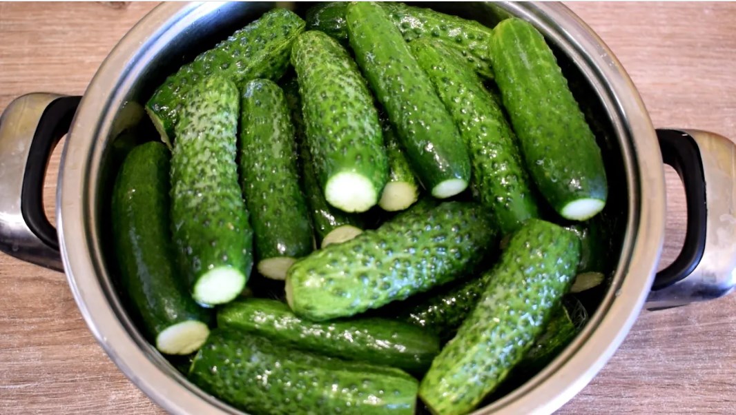 Сытное ТВ с Натальей