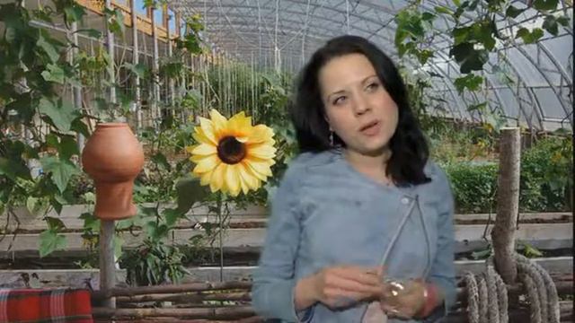 Кастинг на ведущего Реалити-шоу "ЭкоФерма" Дарья Карзова смотреть онлайн