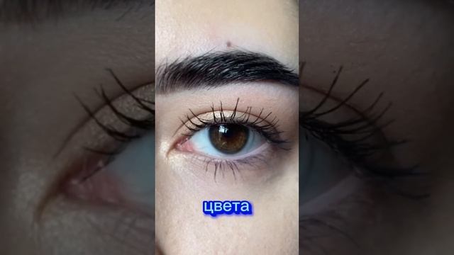 Какой пользуешься ты ? Пиши в комментариях ☺️ Купить можно через delivery club за 190 ₽ ?#макияж смотреть онлайн