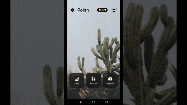что у меня есть в телефоне смотреть онлайн