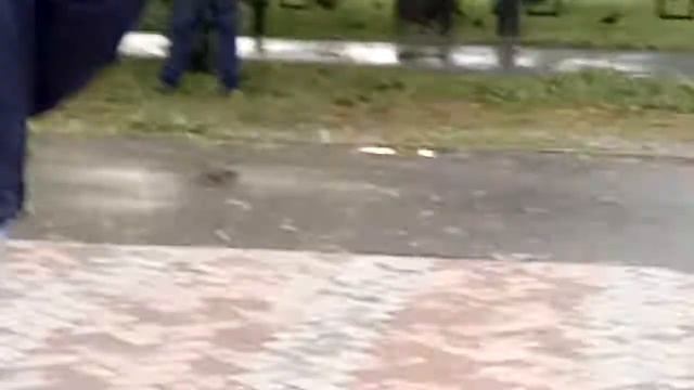 поливает дерево смотреть онлайн