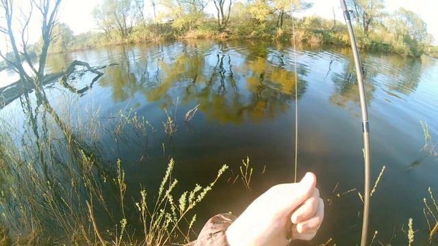 Рыбалка Гарижа 21 05 2017 смотреть онлайн
