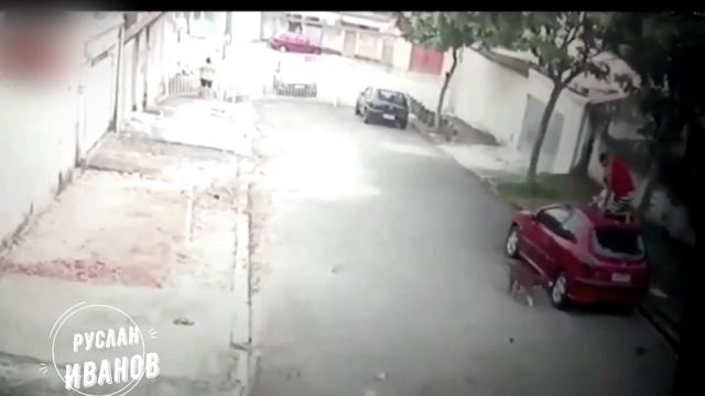 Собаки атакуют #14 Питбули оправдывают свою репутацию! смотреть онлайн