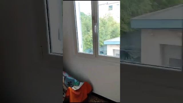 PIENA PROPRIETÀ LAVAGNA 531# - SICASA GLI SPECIALISTI DELLA NUDA PROPRIETÀ 010.2759229 смотреть онлайн
