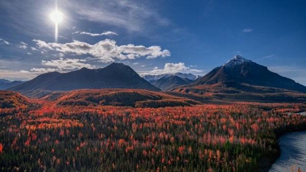 David Celeste. Serene Mind