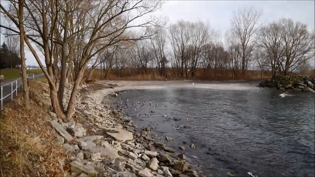 Panasonic Lumix DMC-G3 Sample Video смотреть онлайн