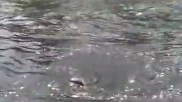 Всё включено смотреть онлайн