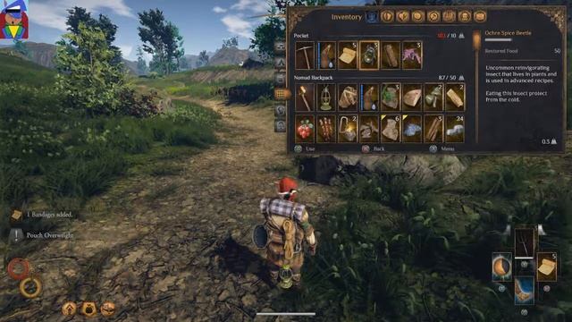 Outward Mage Run EP1 Humble Beginnings смотреть онлайн