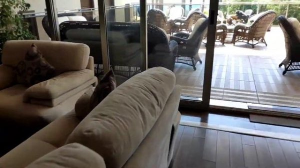 Sea star Marmaris hotel 4*