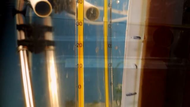 Аквариум для начинающих Тестируем калибруем аквариумный термометр смотреть онлайн