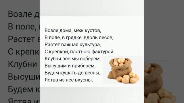 Виртуальная викторина "В саду и в огороде" смотреть онлайн
