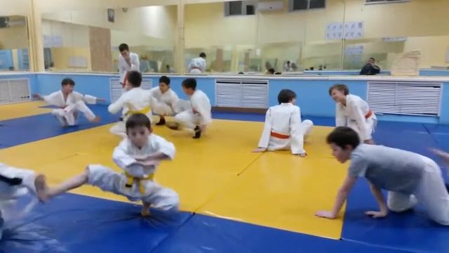 Двигательные системы в традиционных единоборствах. Система урвд смотреть онлайн