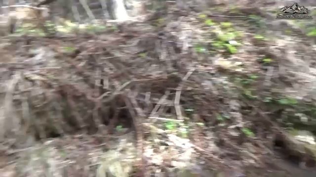 Золото на ручье смотреть онлайн