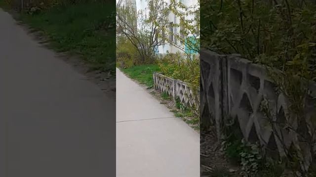 Дзержинск. Улица Маяковского. Старый забор, немного улицы. 05.05.2022 смотреть онлайн