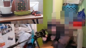 Artemis cp2 5.5mm essaie plomb umarex Cobra et swiss arms pointed pellets