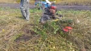 Покос высокой полусухой травы мотоблоком с роторной косилкой "ЗАРЯ".