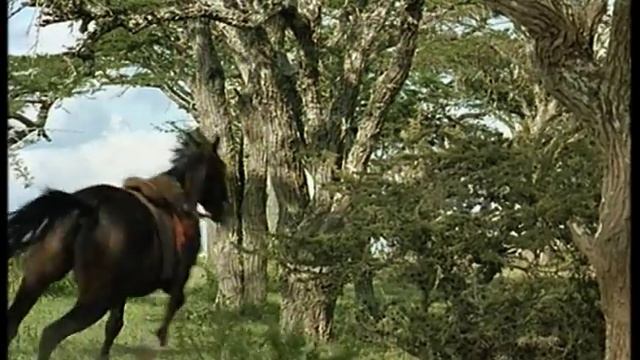 Meryl Streep Out Of Afrika 1985 part1 смотреть онлайн