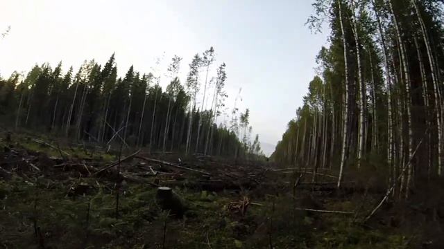 Охота. Волчьи следы. Знакомство с УАЗ Патриот. смотреть онлайн