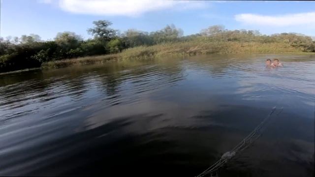 ЛОВИМ РЫБУ НЕВОДОМ! ( СЕТЬЮ ) МНОГО ЗМЕЙ! смотреть онлайн