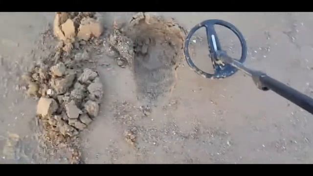 Beach detecting. Minelab explorer se смотреть онлайн