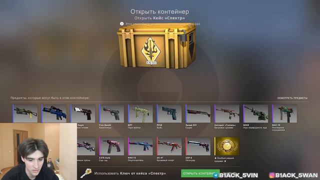 ОТКРЫВАЮ СПЕКТР КЕЙС ПОКА НЕ ВЫПАДЕТ НОЖ В КС ГО #ДЕНЬ42 смотреть онлайн