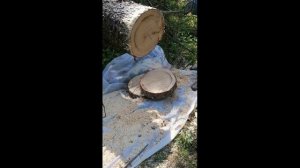 Тест – драйв аккумуляторной цепной пилы Makita DUC 355Z .