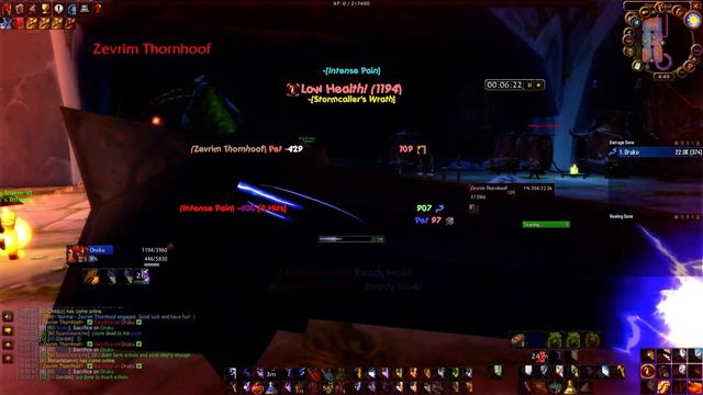 Dire Maul East Jump run Elemental Shaman P5 run (12:30M) Hydrospawn included! смотреть онлайн
