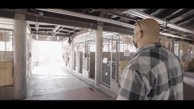 AMAZING Dog rehabilitation program for INMATES! | Paws For Life смотреть онлайн