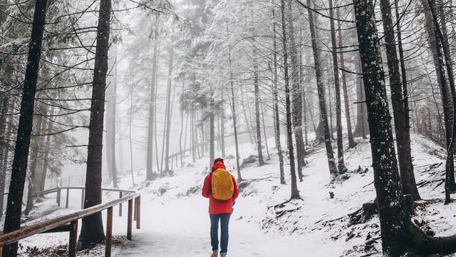 Diese Katze fand ein weinendes Baby im Wald. Was sie als nächstes tat, ist unfassbar! смотреть онлайн