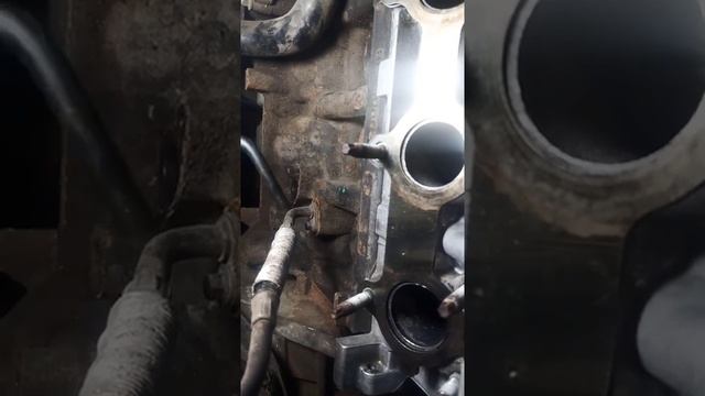 ZOTTI т600. 1,5L. Turbo. установка меток ГРМ.