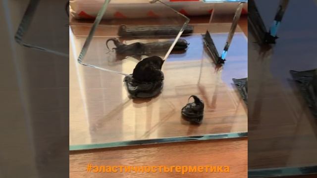 Эластичность силиконового герметика Kortlinger