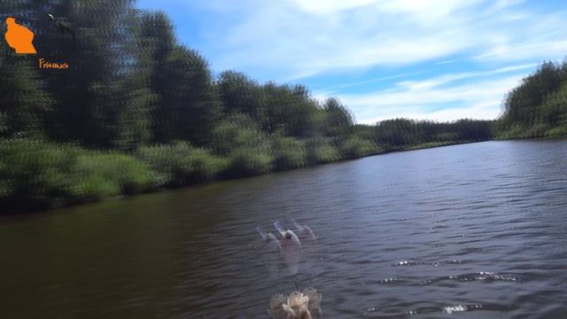 Ежегодный сплав по реке. Интересные наодки. Палеонтологам будет интересно. Часть 1 смотреть онлайн