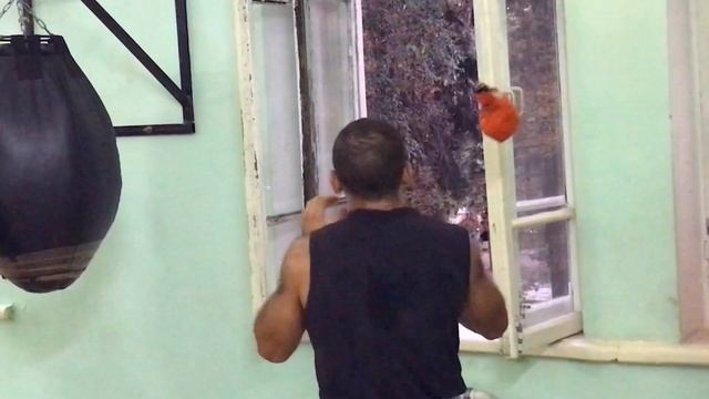 Тема бокса и наша идеология. смотреть онлайн