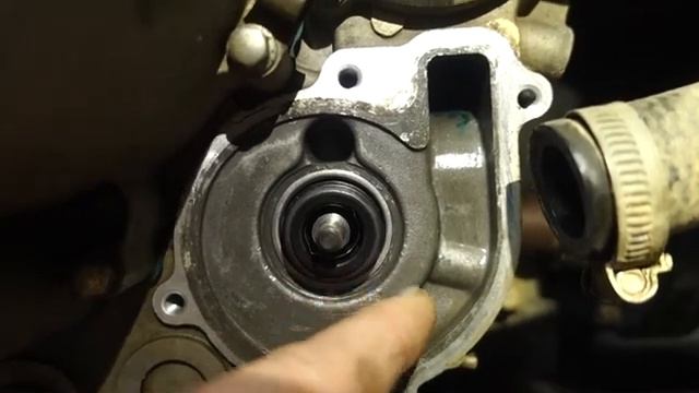 Stels Guepard 650, замена сальника помпы и масляного, подробно