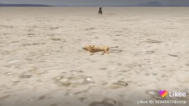 Нет это ты виноват смотреть онлайн