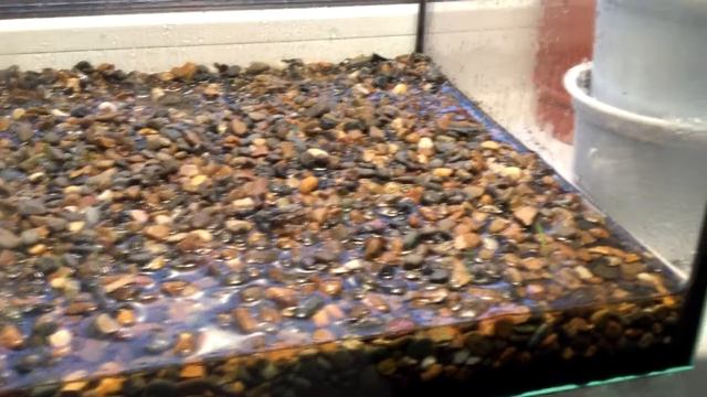 Тепличка для аквариума или семена с алиэкспресс 2 смотреть онлайн