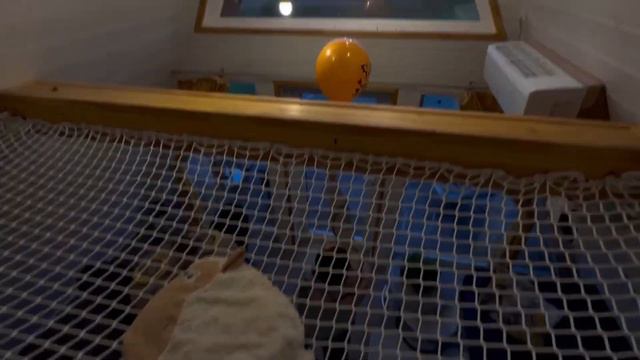 VLOG | путешествие на выходные | глэмпинг | Glamping | отдых загородом смотреть онлайн